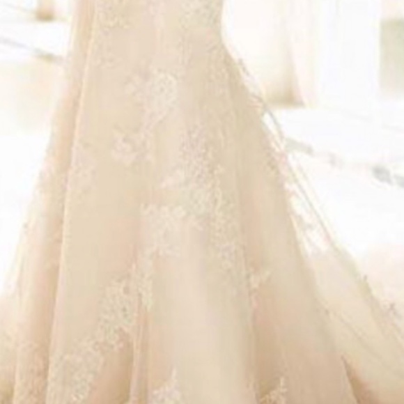 Stella York Bridal Gown - Picture 3 of 5